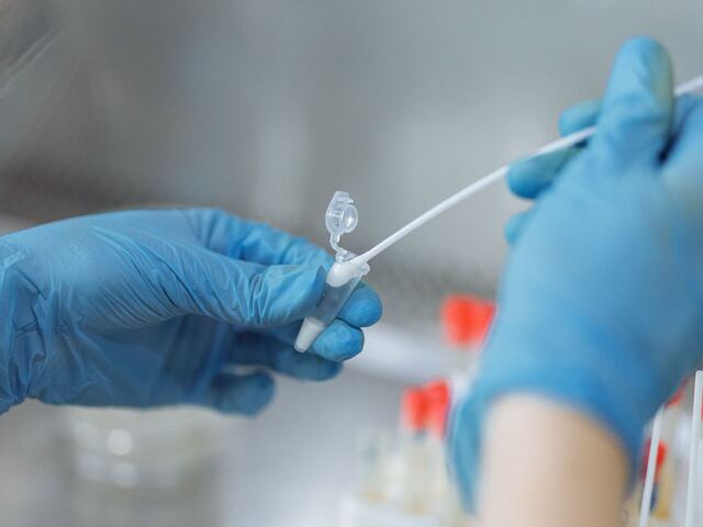 Gloved hands placing a swab into a sample tube