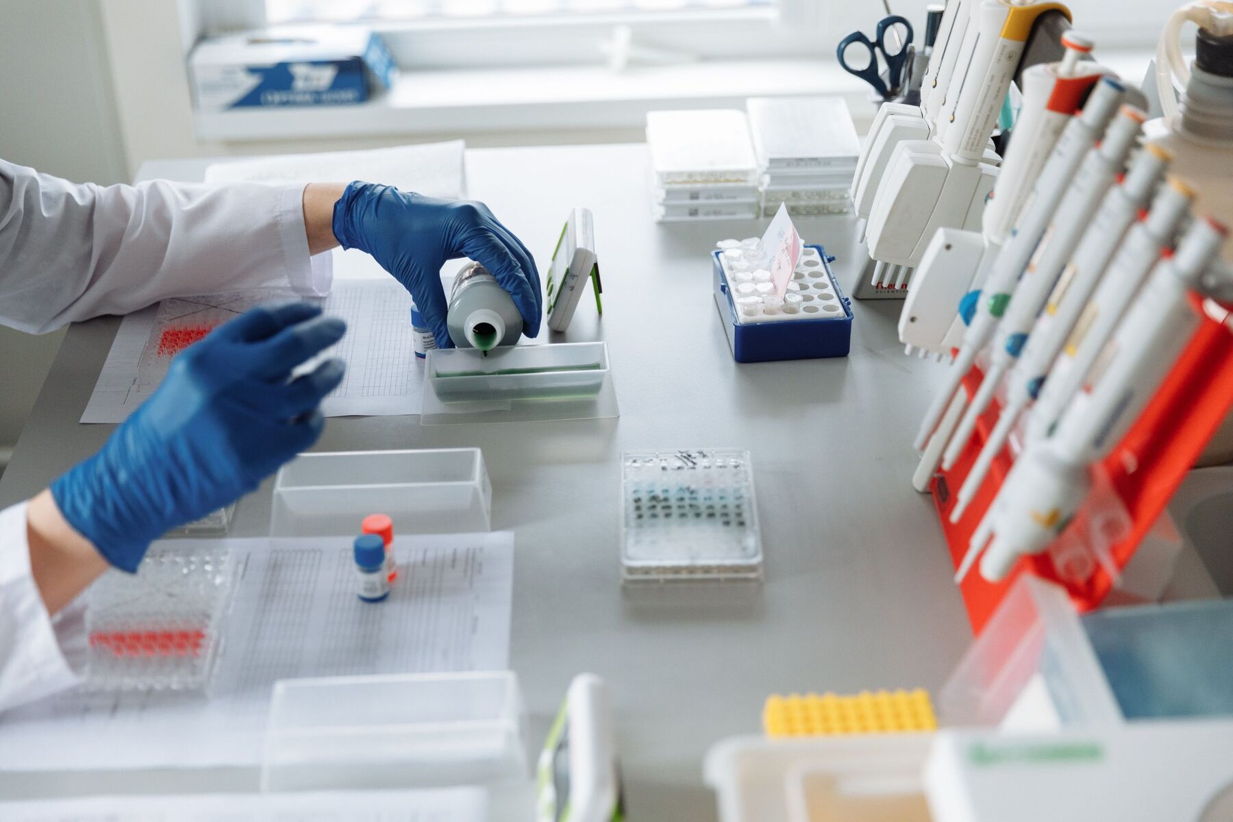 Overhead view of a lab bench with plates, reagents and a rack of pipettes