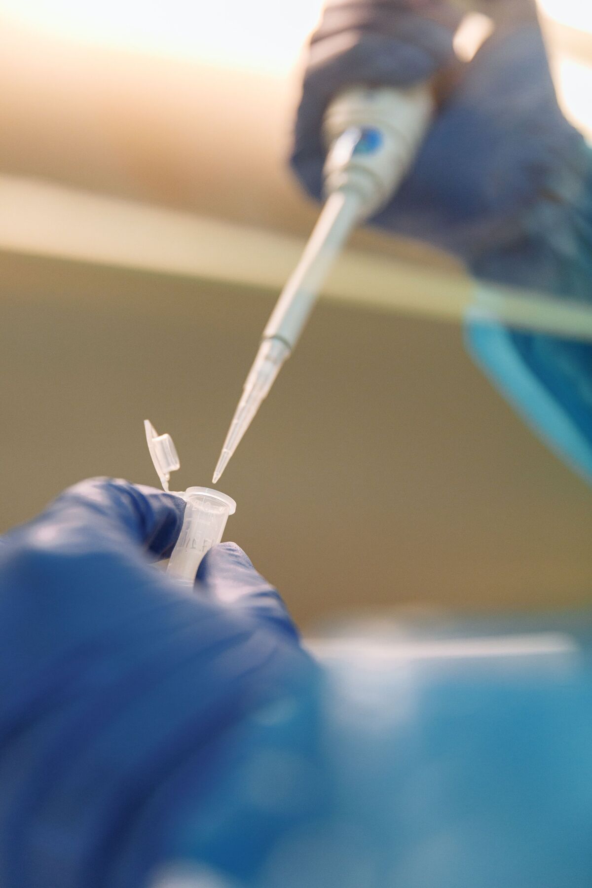 A gloved hand pipetting into a small sample tube