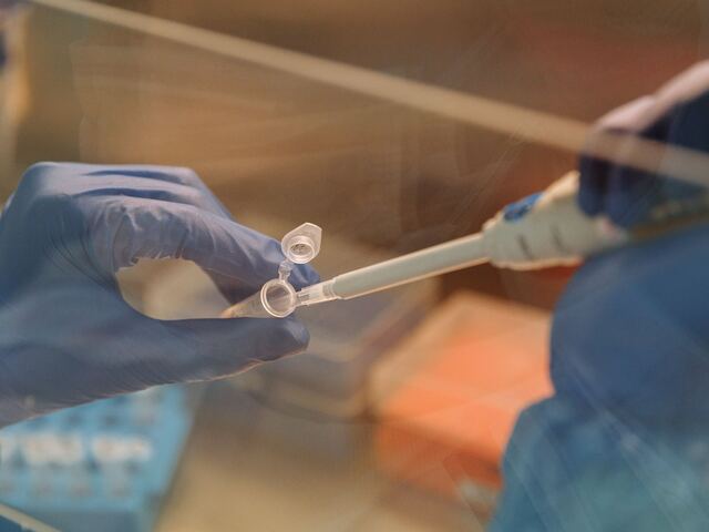 A gloved hand pipetting into a small tube through a hood screen