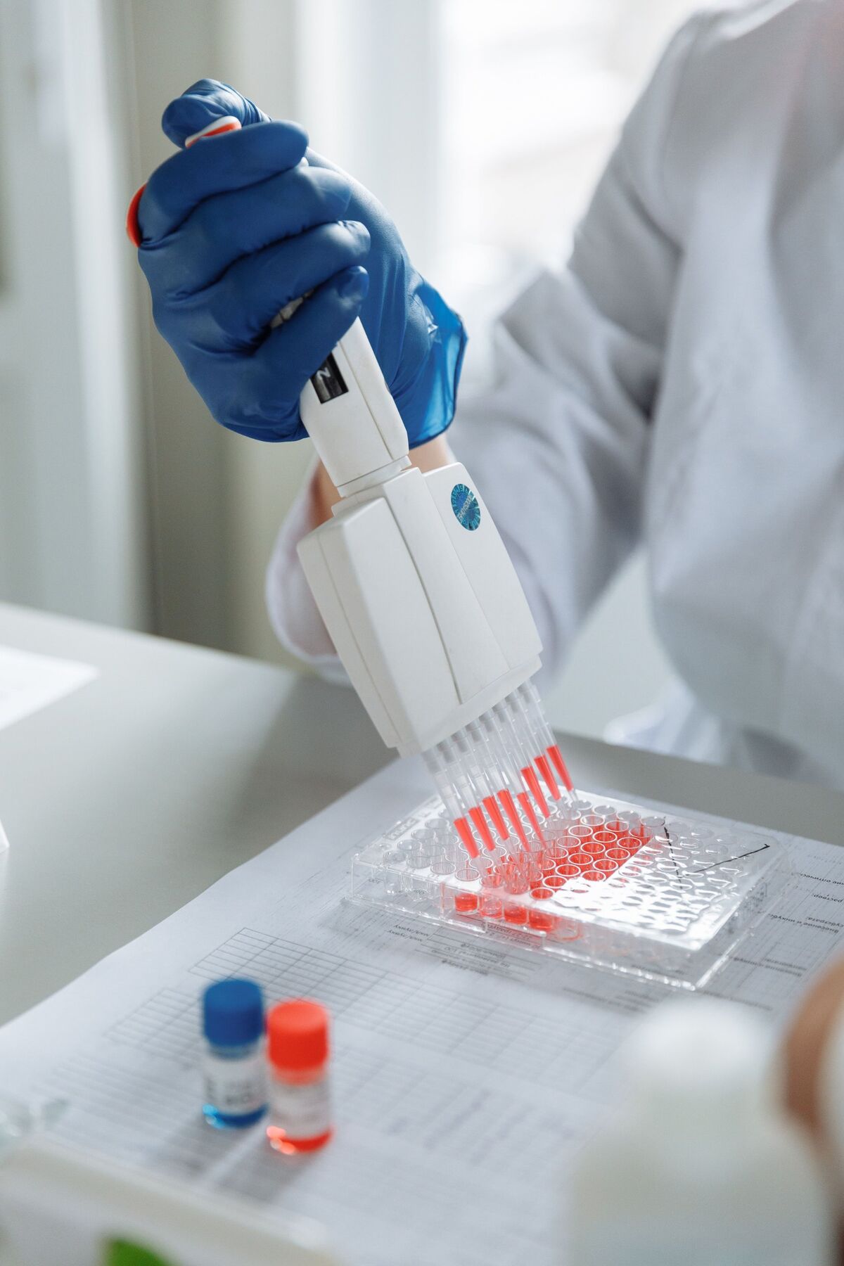A multichannel pipette filling a plate with red samples